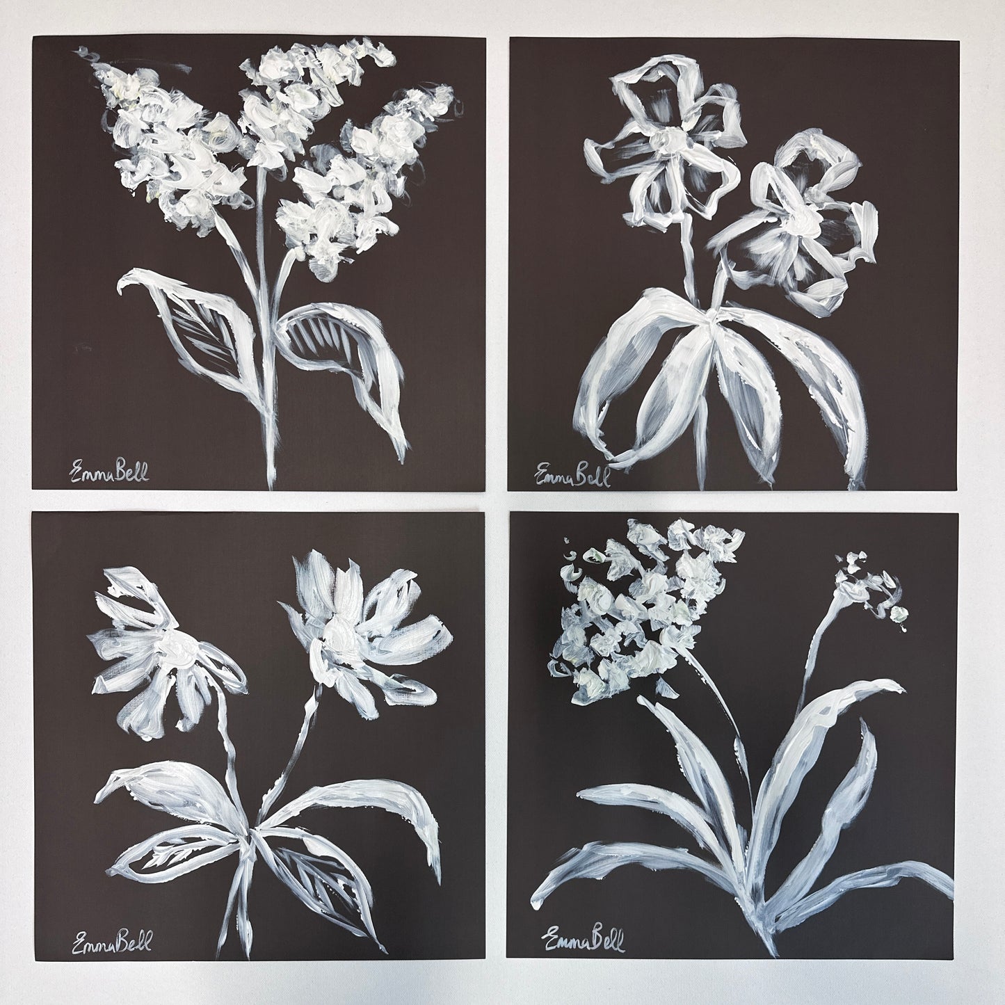 White botanical sketch 12x12