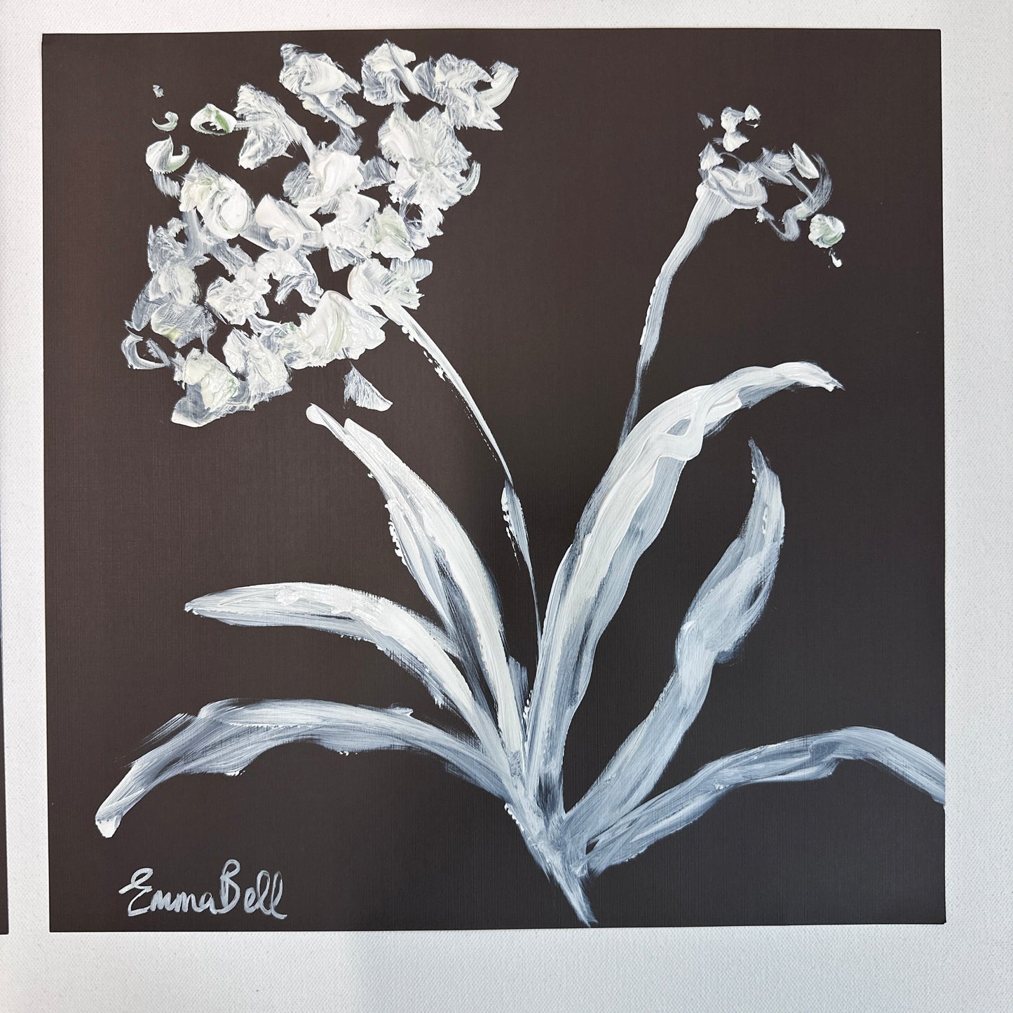 White botanical sketch 12x12