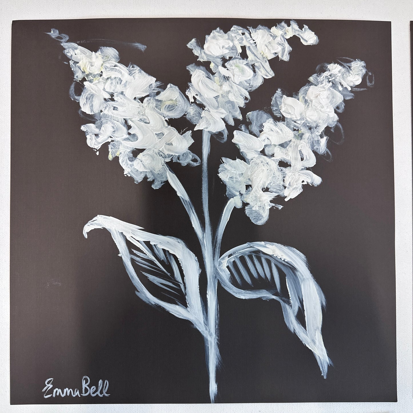 White botanical sketch 12x12