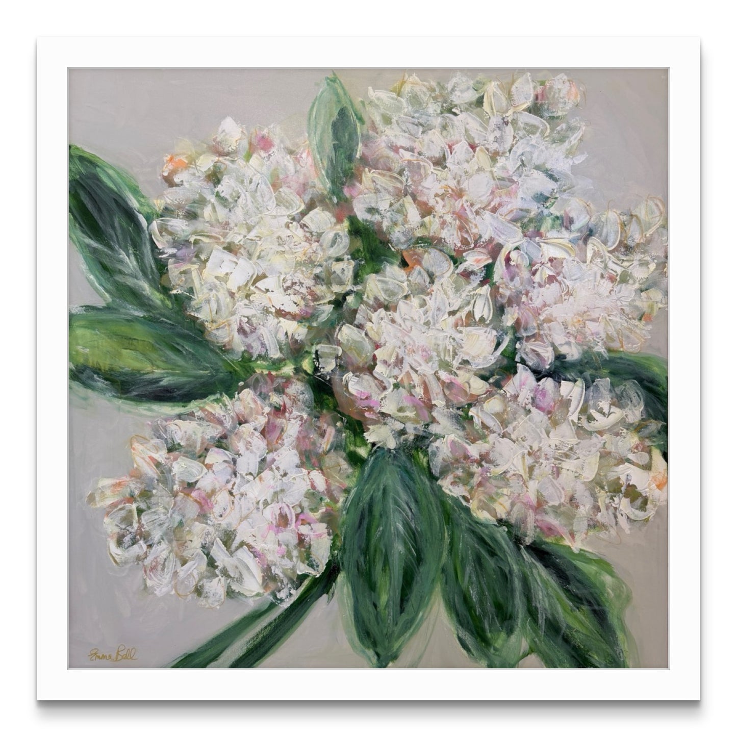 Cream Hydrangeas