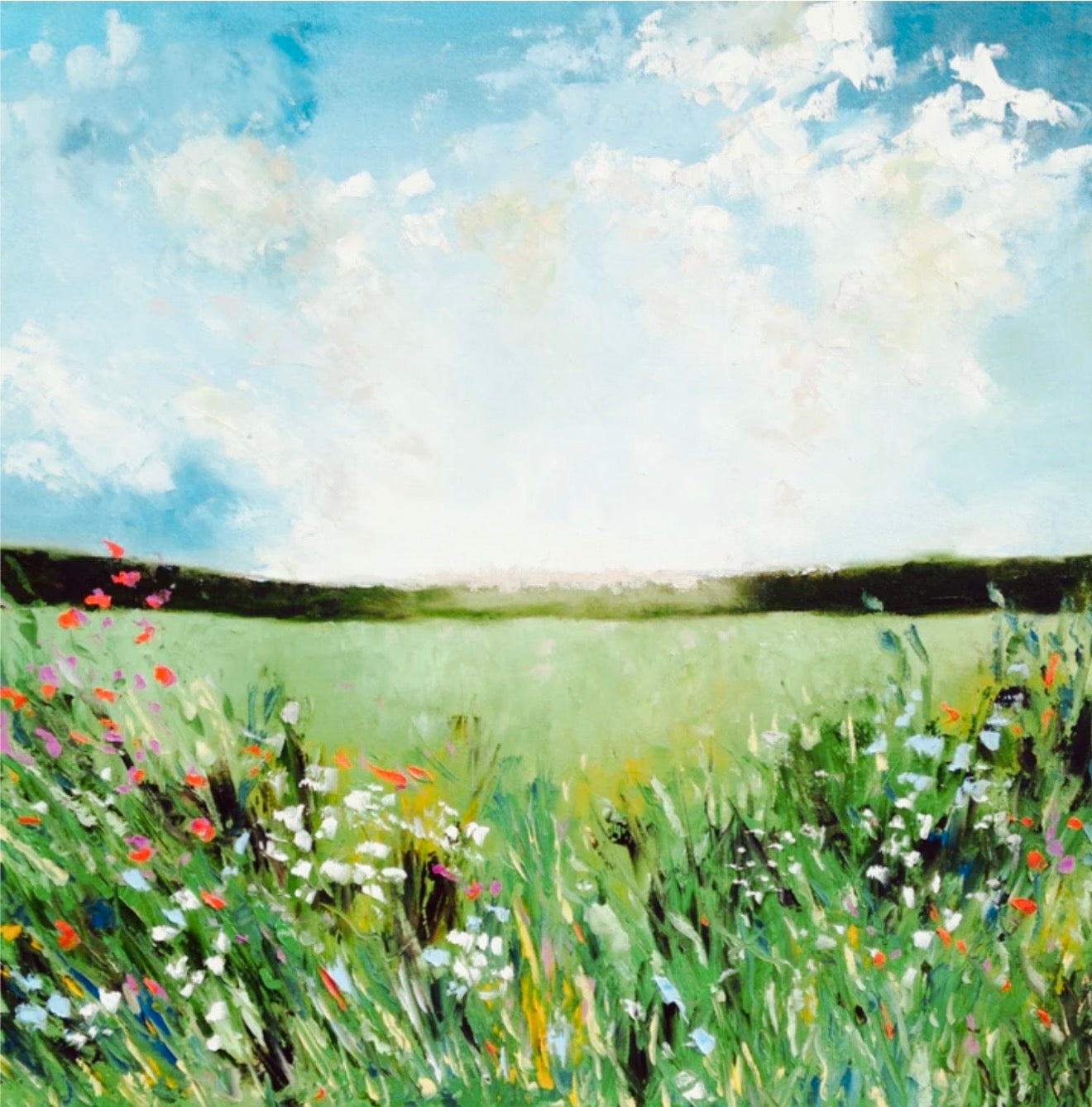 Summer meadow
