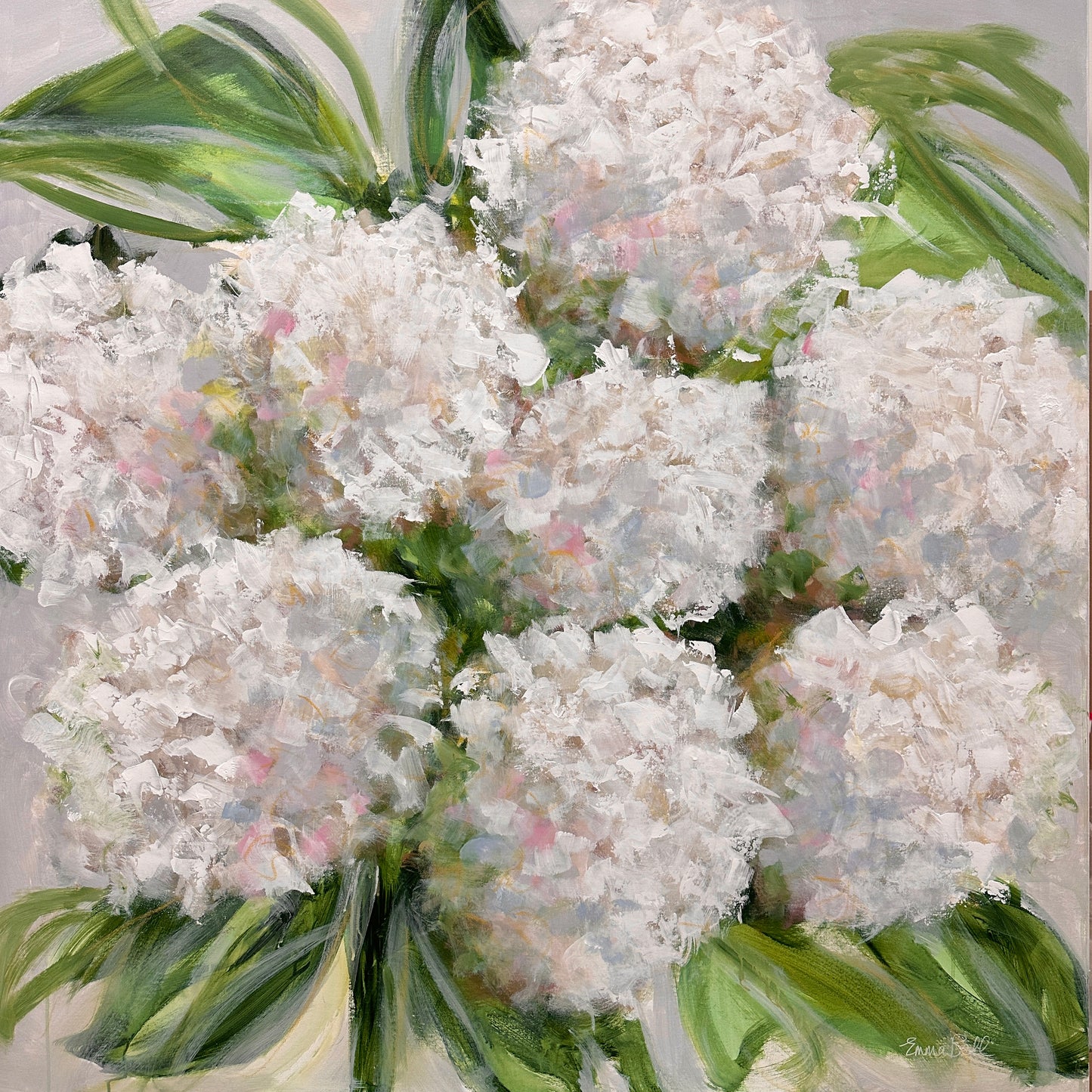 White Hydrangea Bloom