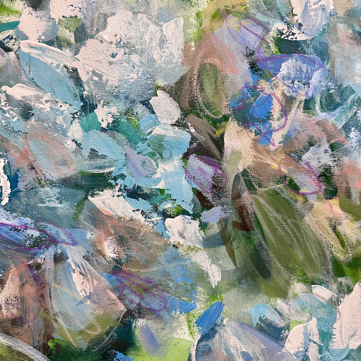 French Hydrangeas
