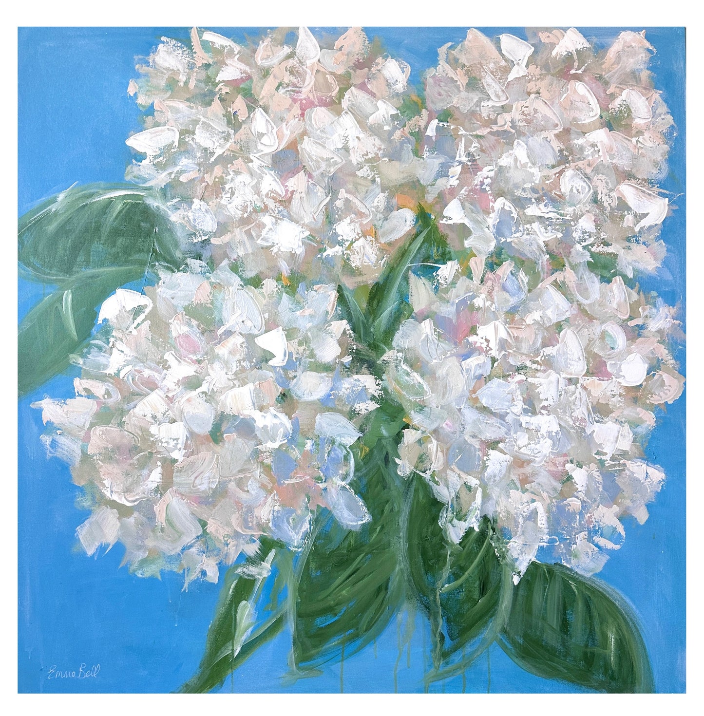 White Hydrangeas in blue