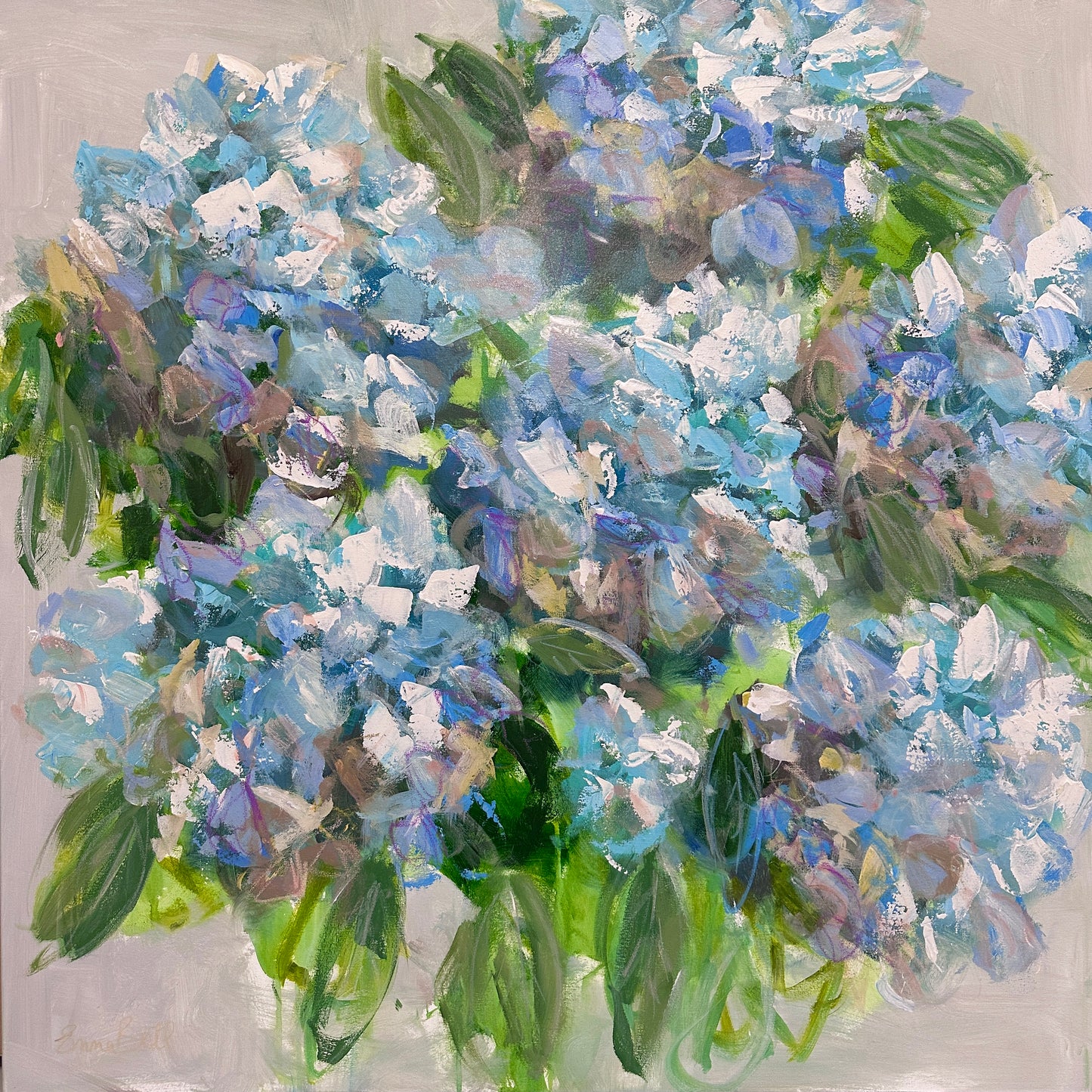 French Hydrangeas
