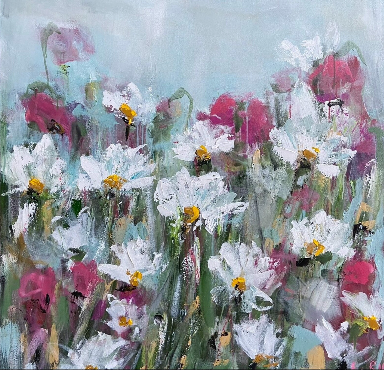 Wild Daisy Field