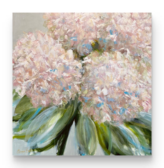 Pale Blush Hydrangeas