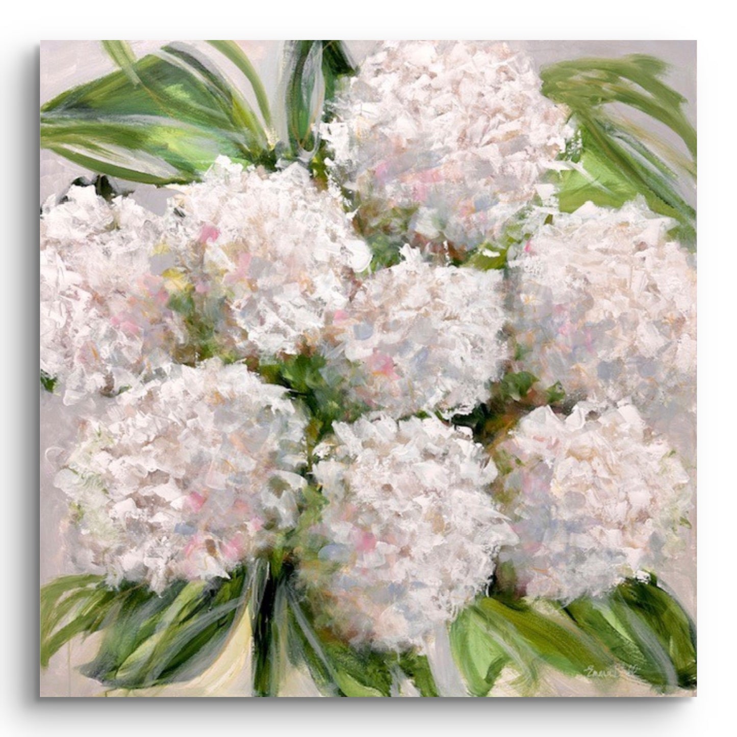 Blooming white Marvel