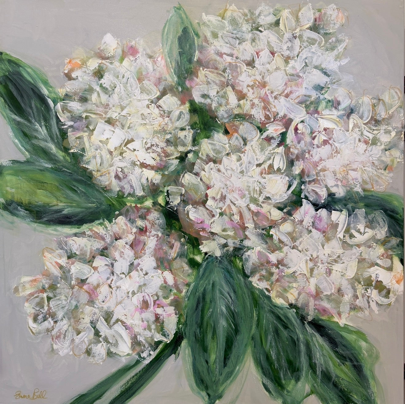 White Hydrangea Bloom 40x40