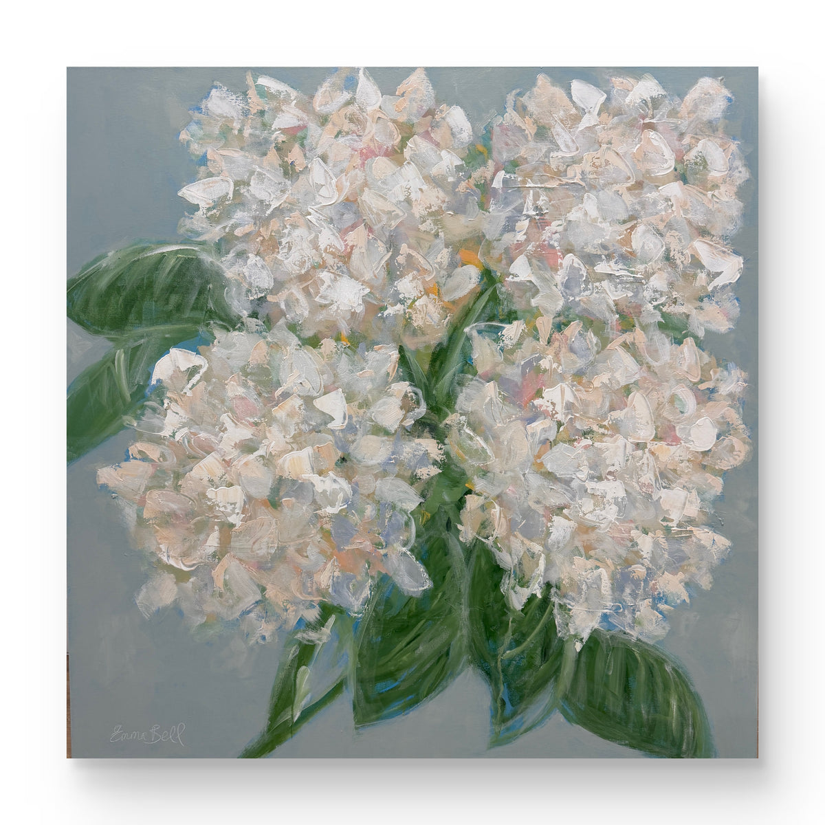 White Hydrangeas