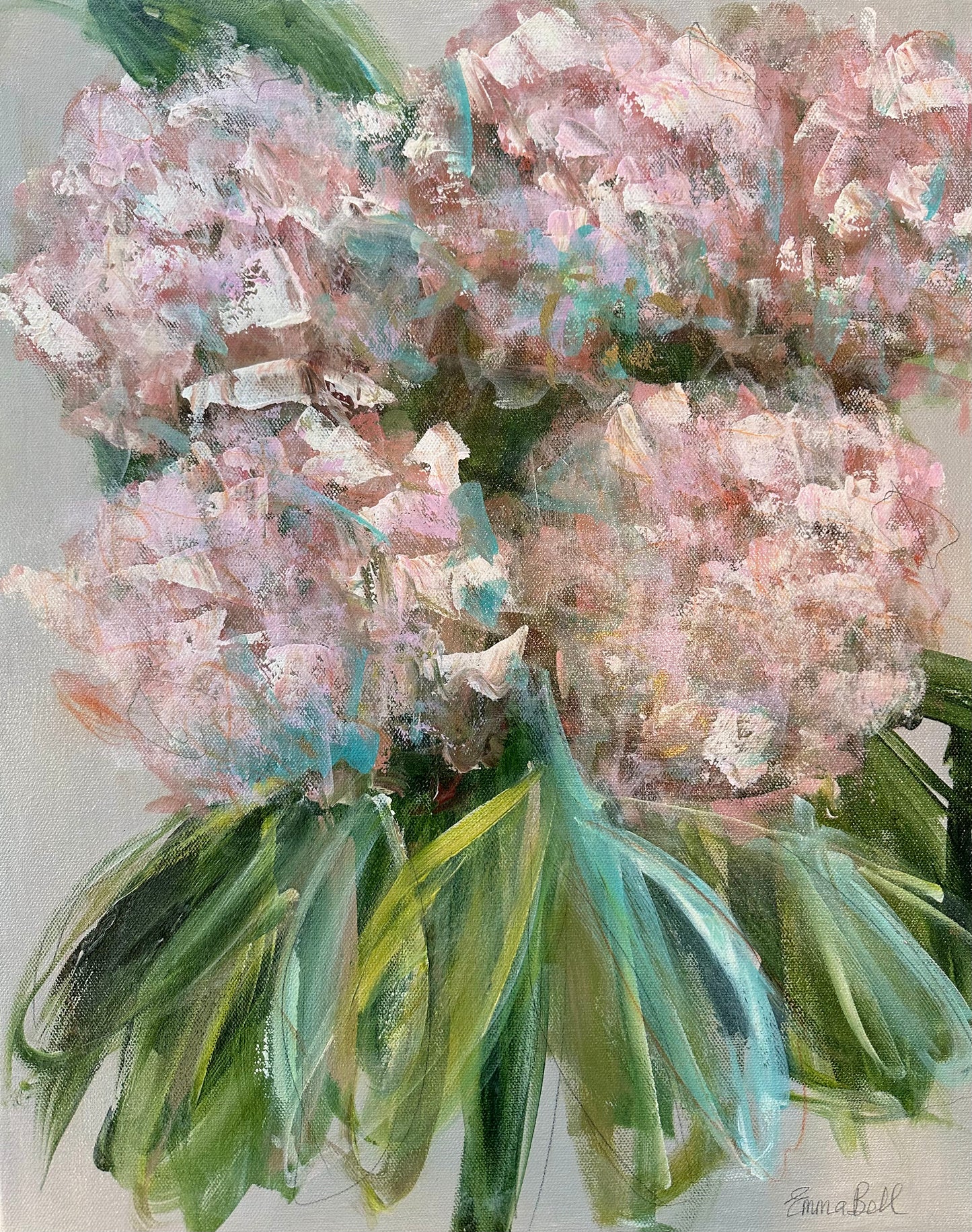 Blush Hydrangea Bloom