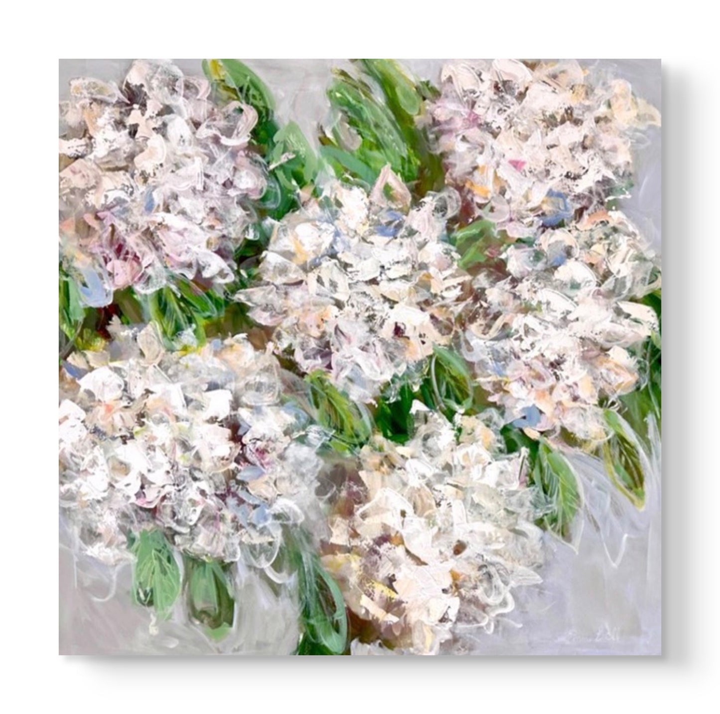 White Hydrangea Haze
