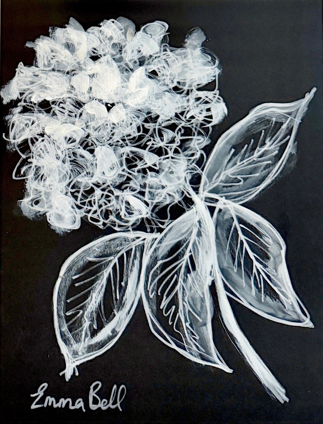 Hydrangea I 8.5x11