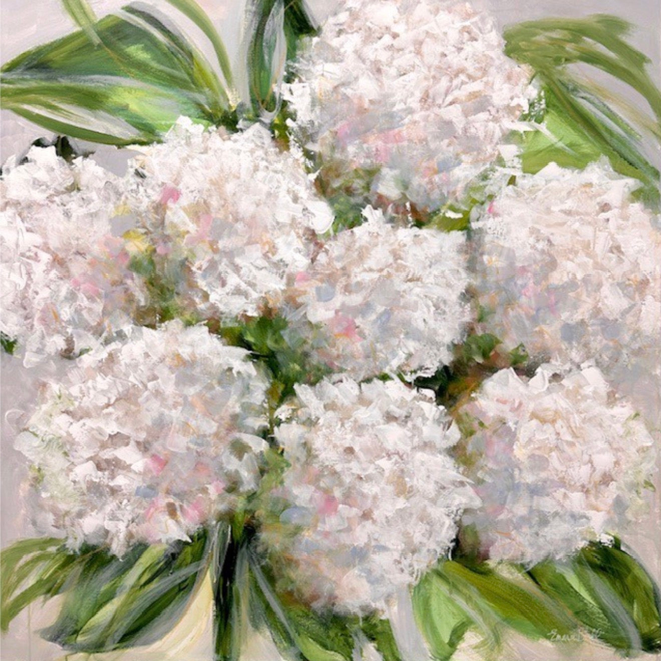 Blooming white Marvel