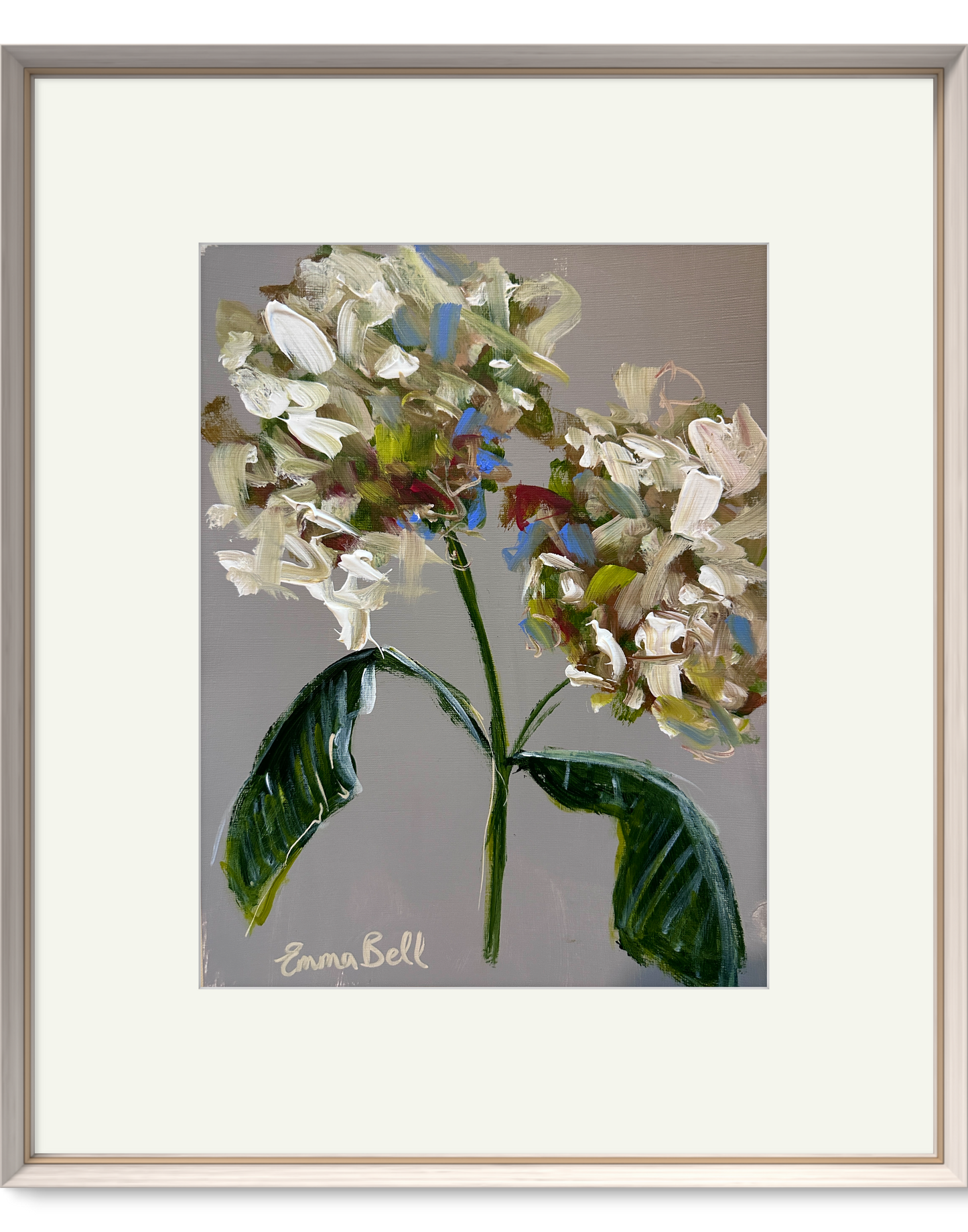 Botanical white hydrangeas 12x9