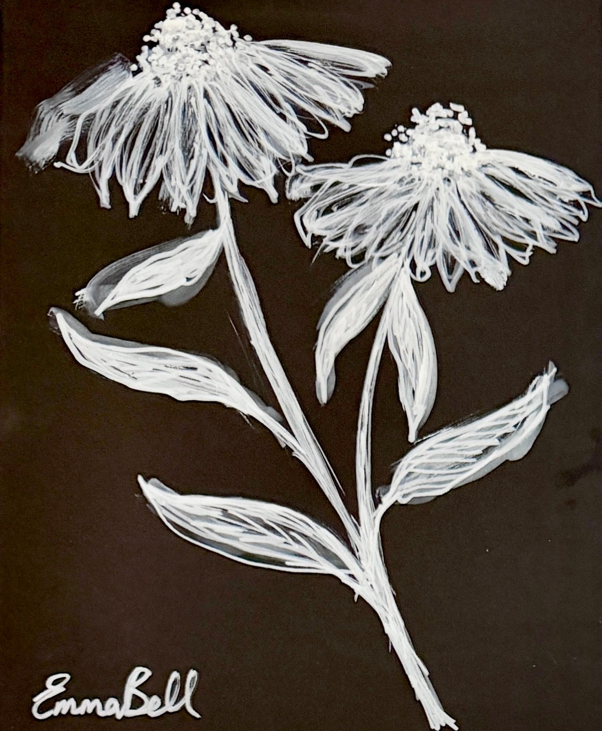 Echinacea I 8.5x11