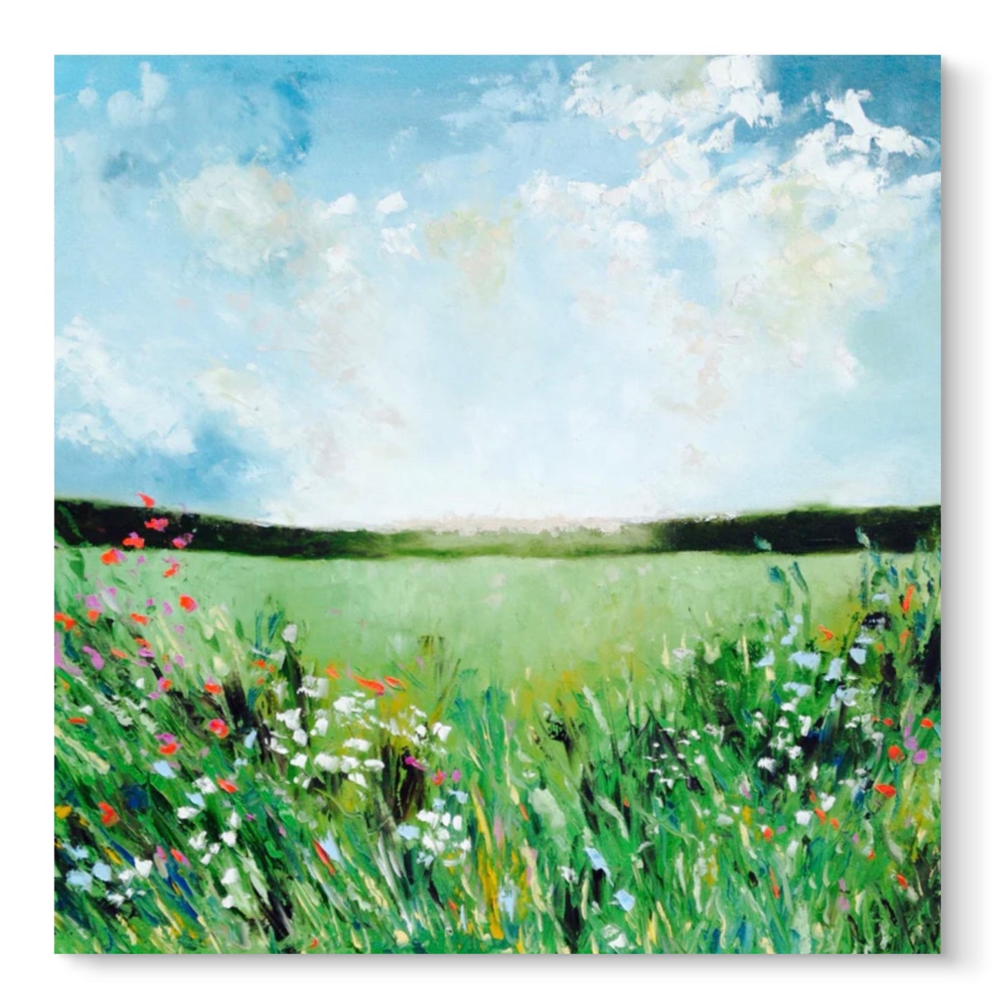 Summer meadow