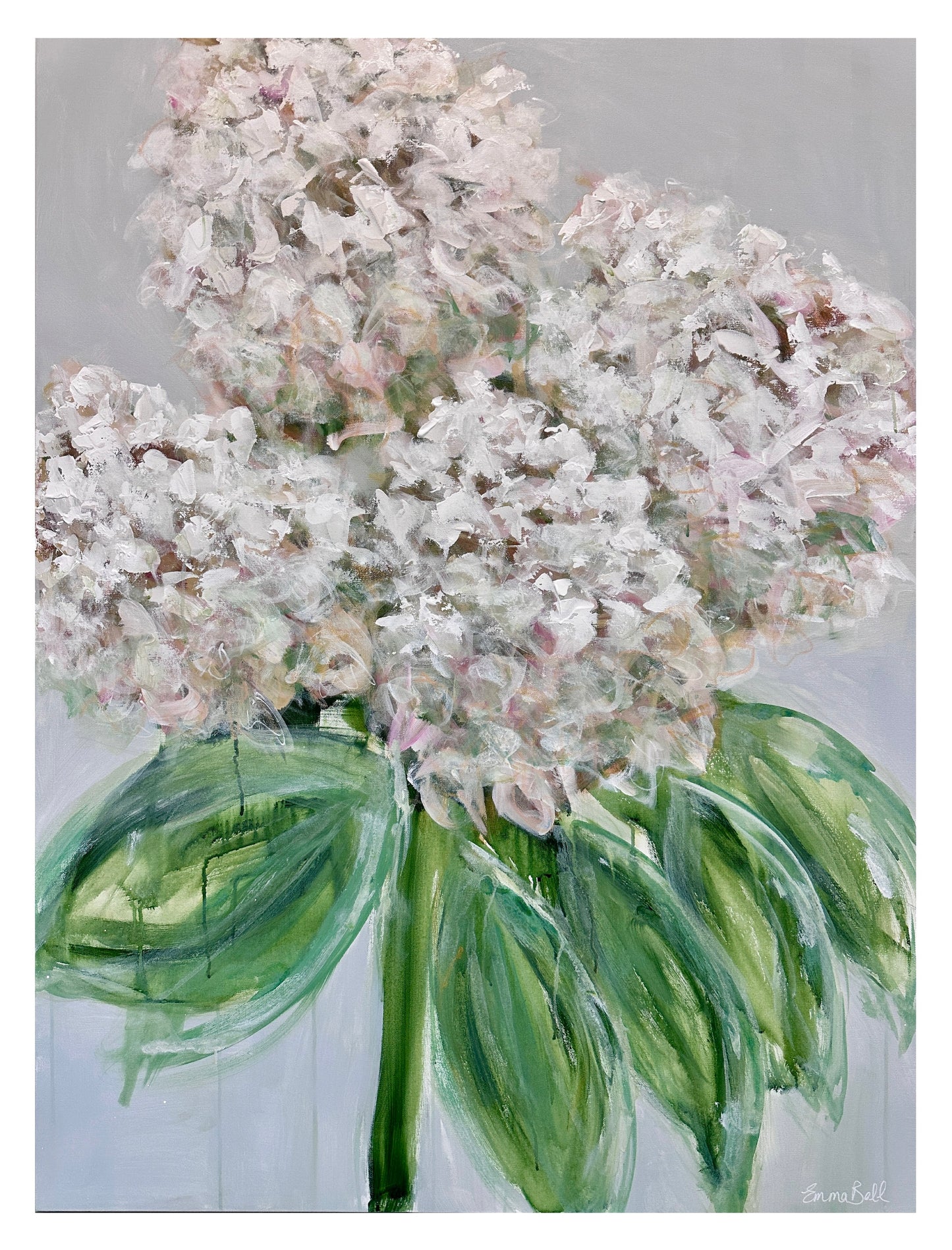Four white hydrangeas