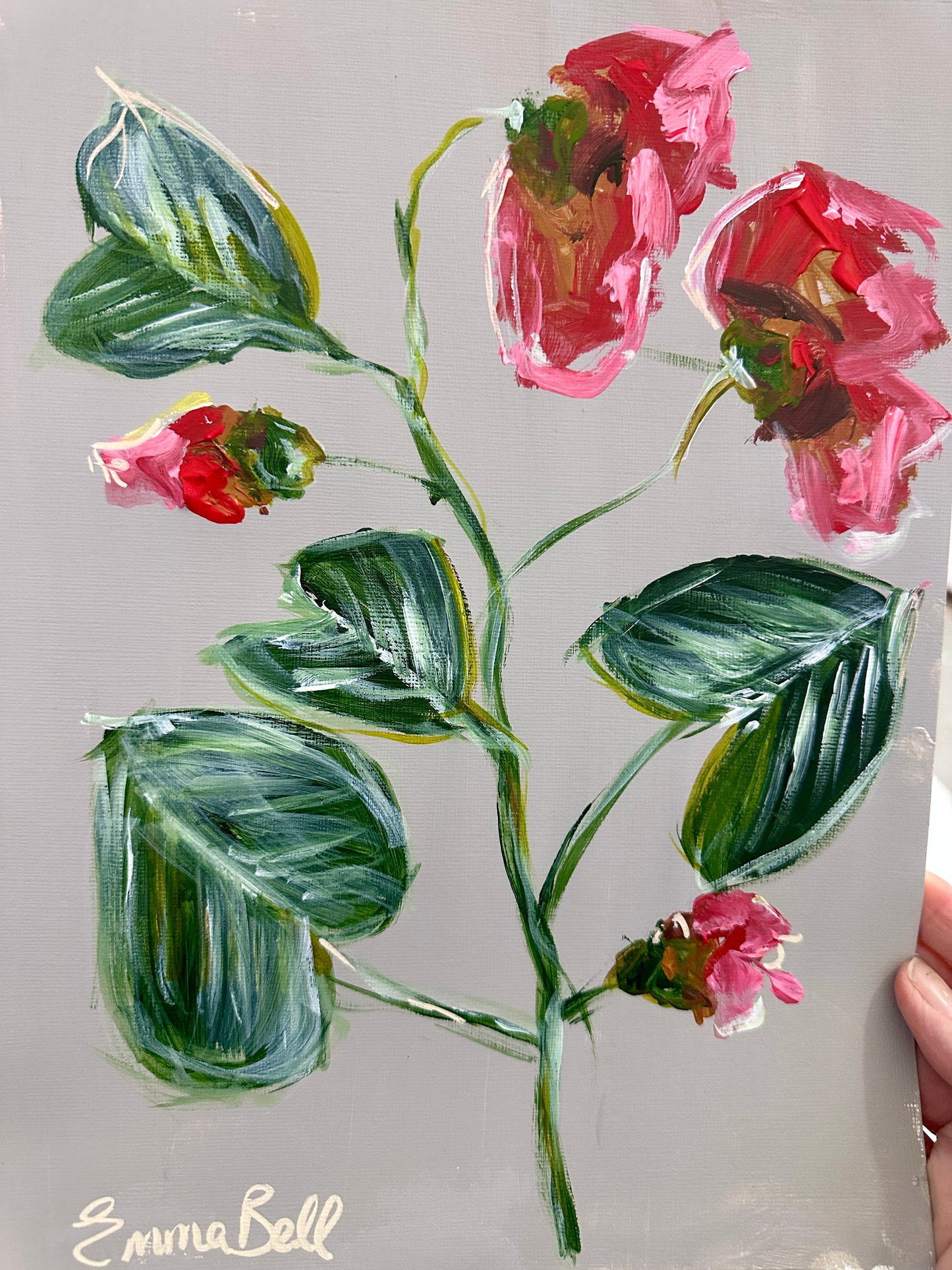 Botanical red poppies 12x9