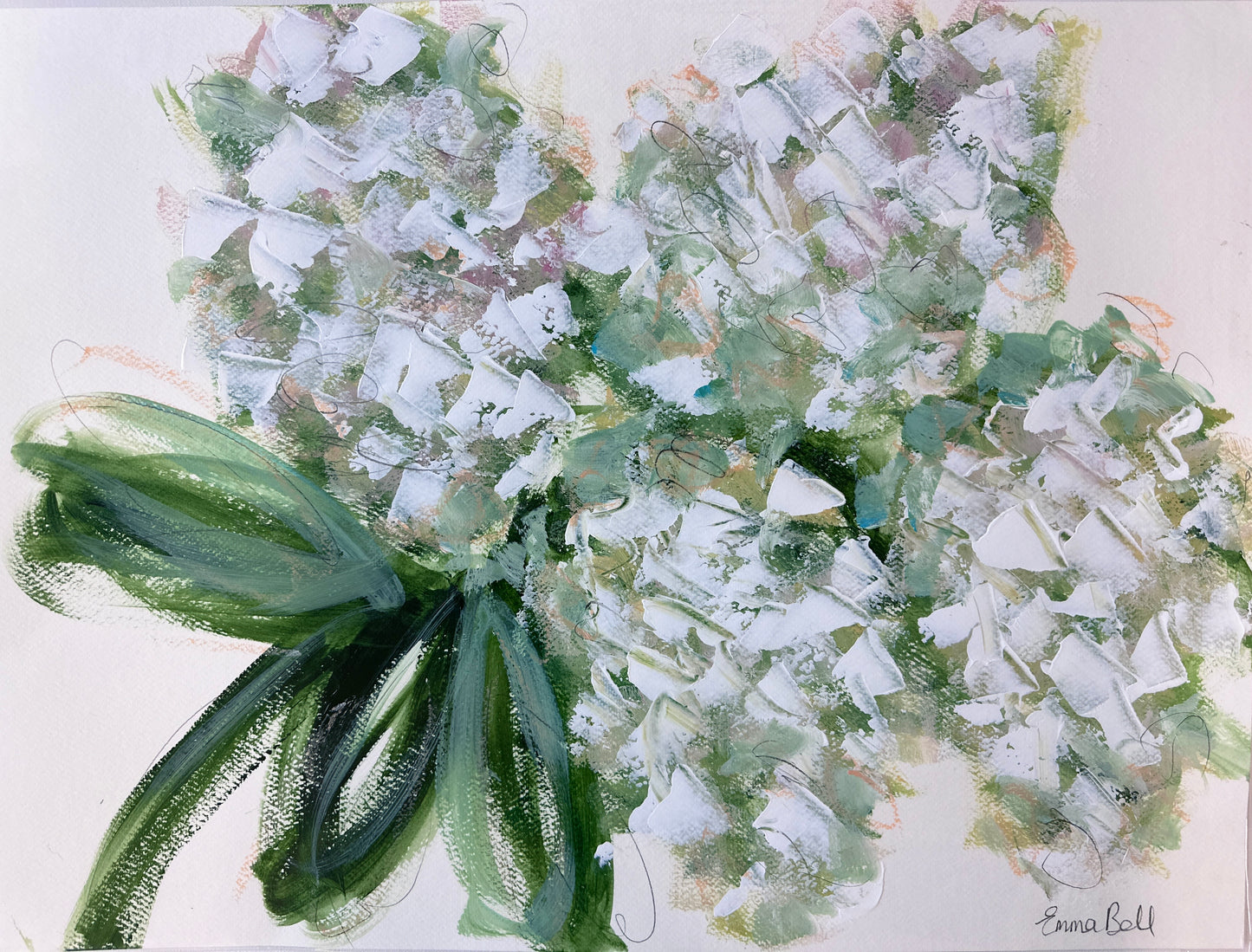 White hydrangea bloom