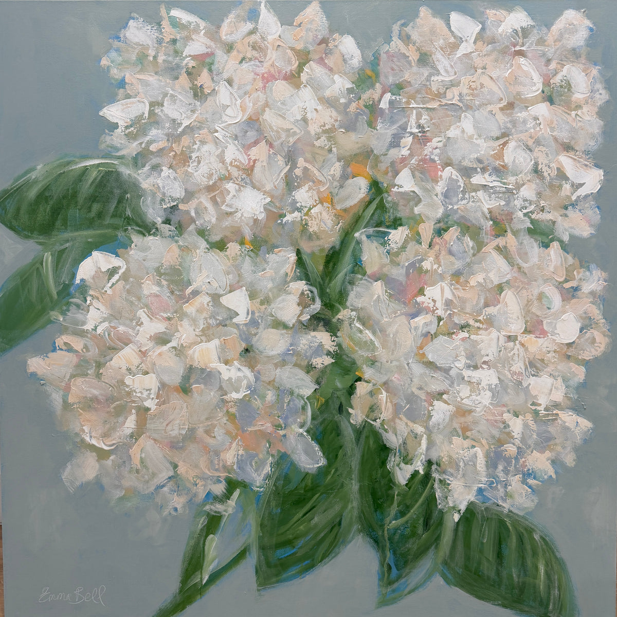 White Hydrangeas