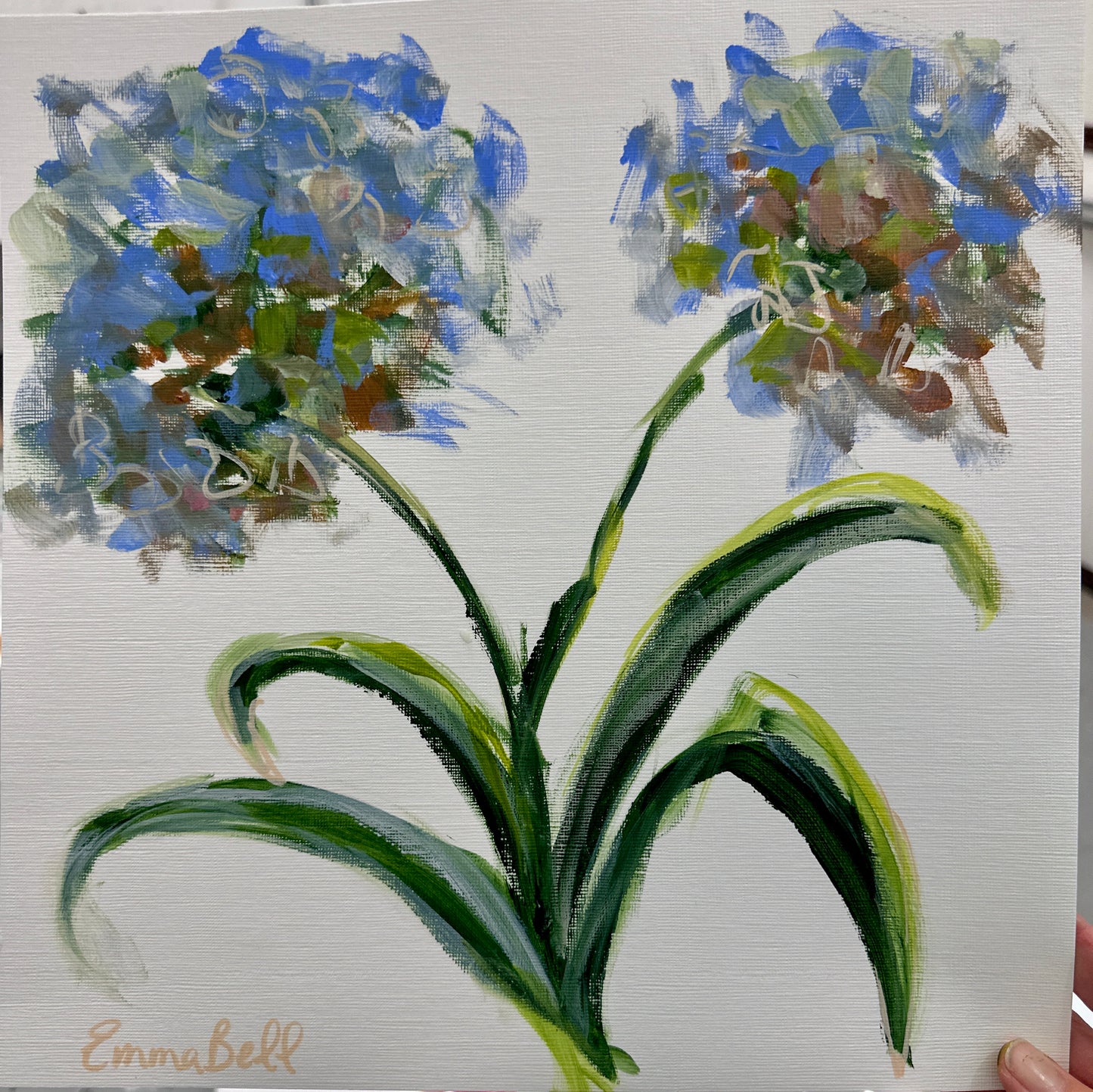 Vintage Botanical blue hydrangeas 12x12