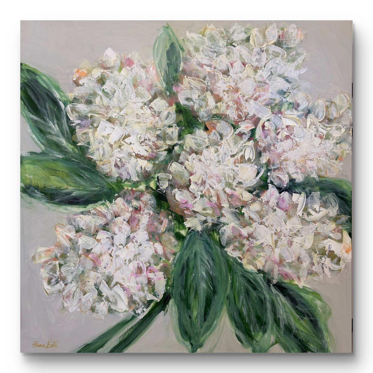 White Hydrangea Bloom 40x40