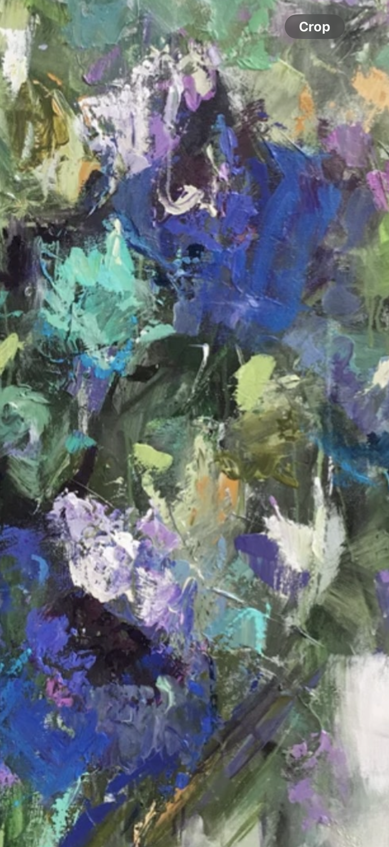 Abstract Iris Bloom