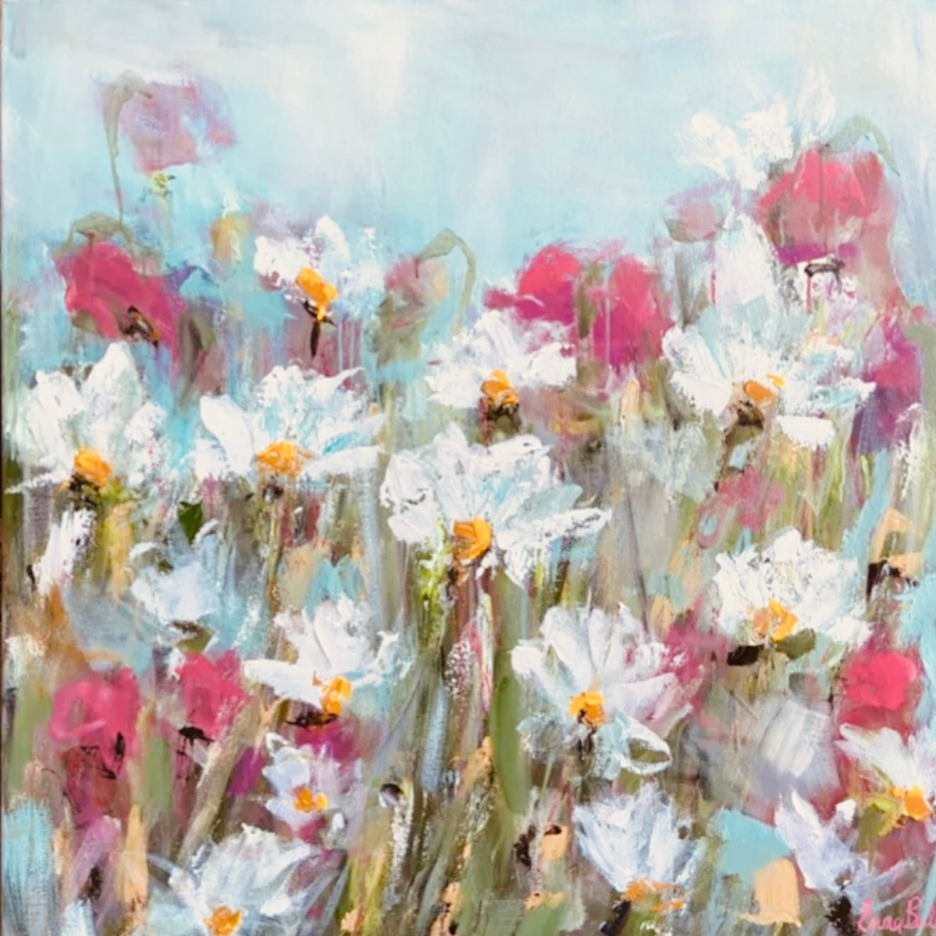 Wild Daisy Field