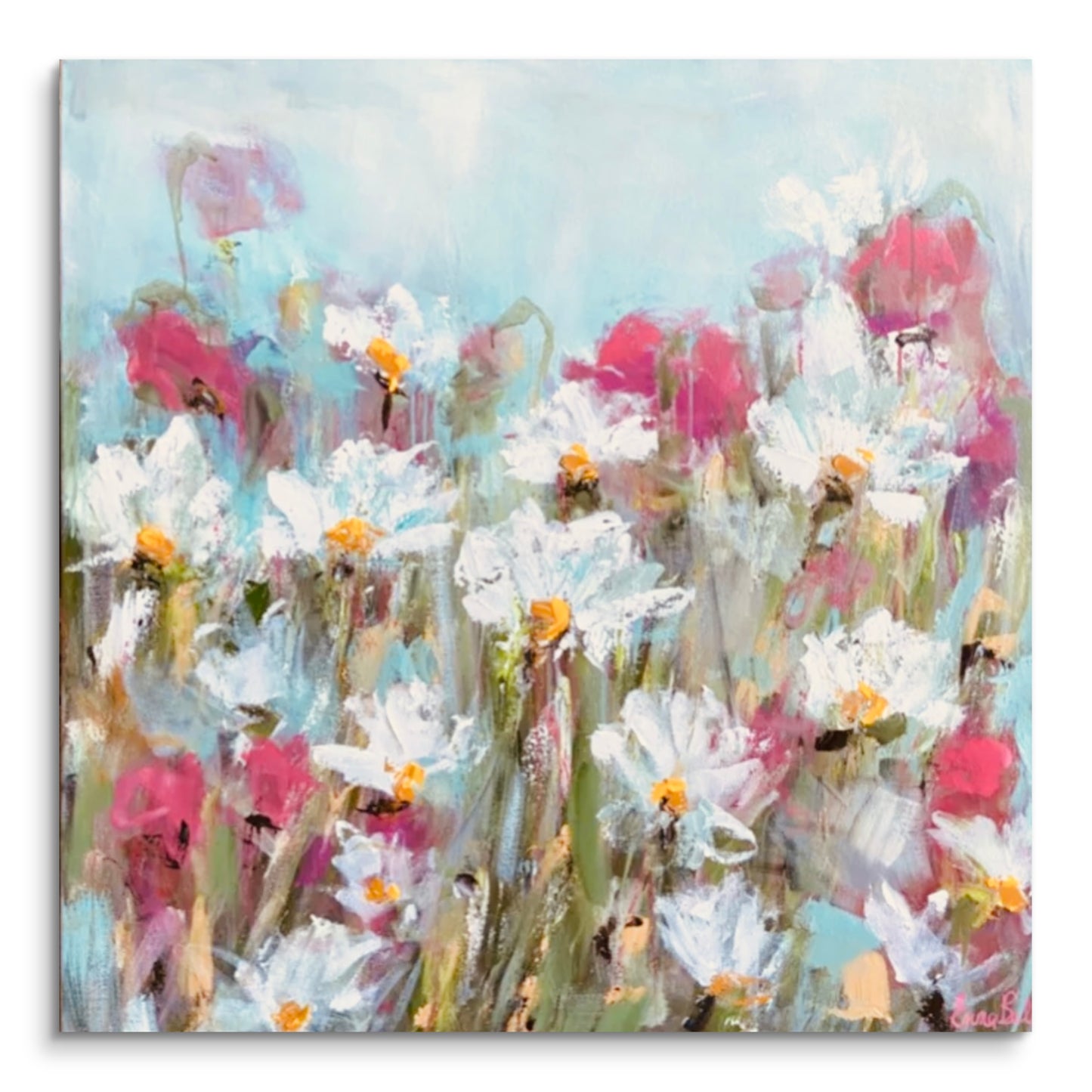 Wild Daisy Field