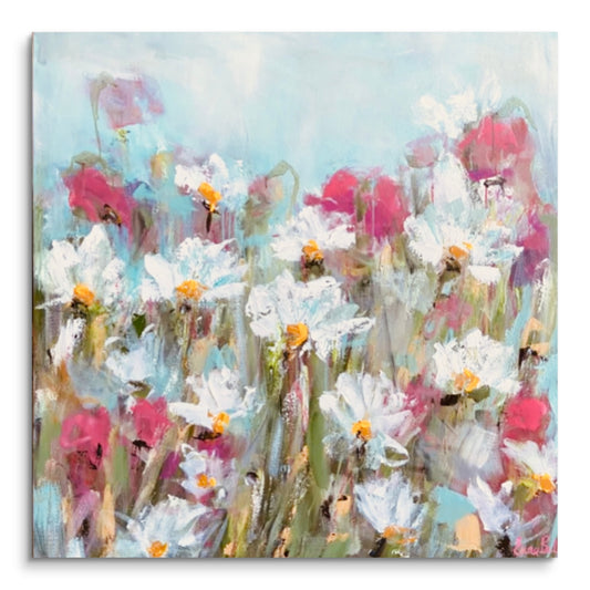Wild Daisy Field